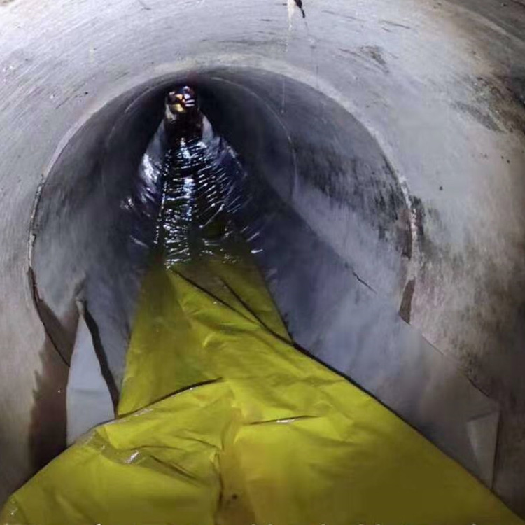 浩口原种场管道光固化修复