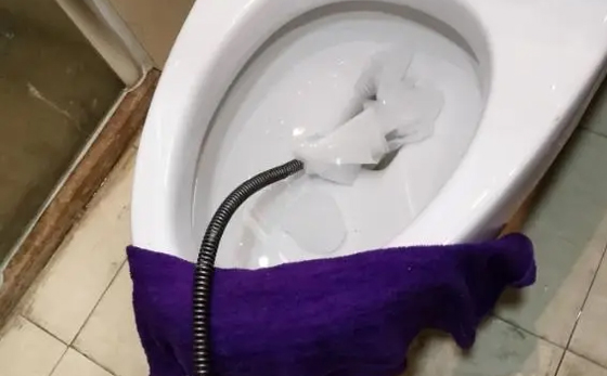 浩口原种场马桶疏通